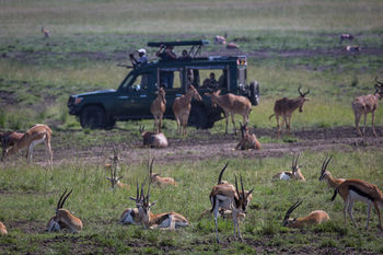 Elewana Sand River Masai Mara Hotel Maasai Mara Bagian luar foto